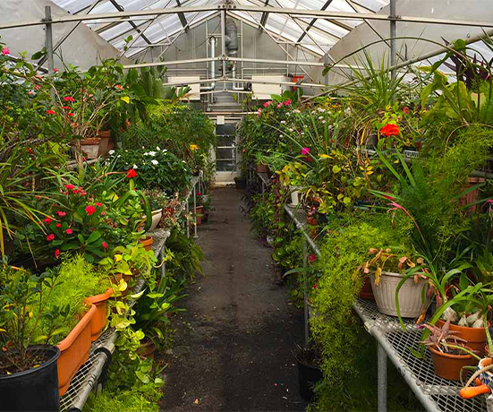 Vivero e Invernadero